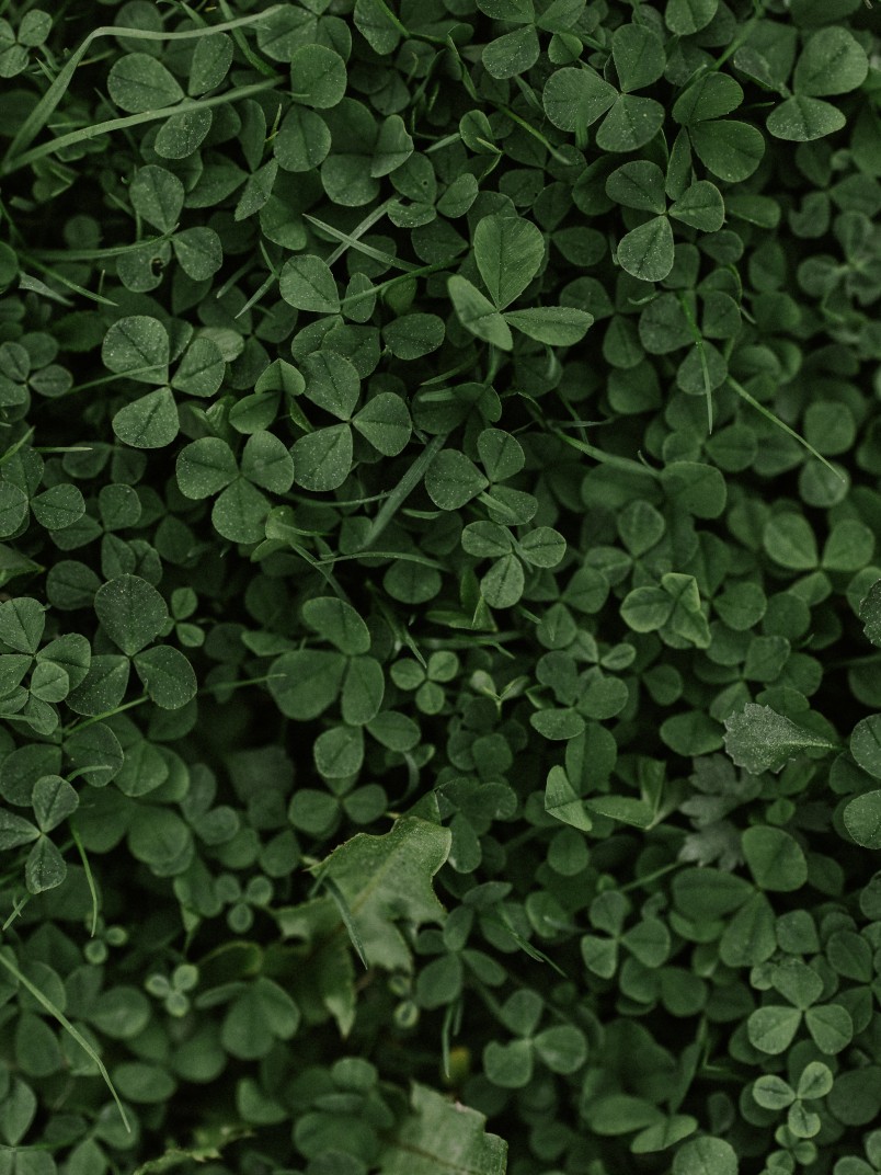 Alcros hållbarhet genom historien