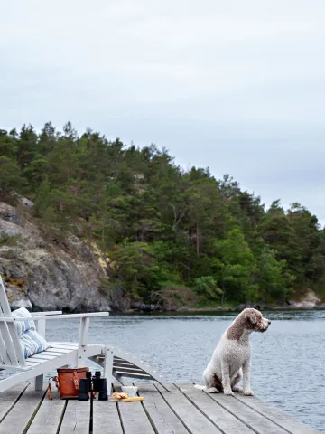 Det perfekta sommarhänget