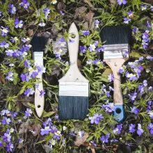 Designer’s Guide to understanding Green Building Certifications