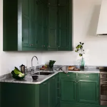 Färgsätt köket i en grön kulör