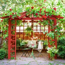 Färgstark pergola