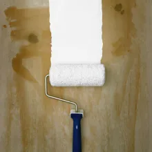 Rollar väggen med färg