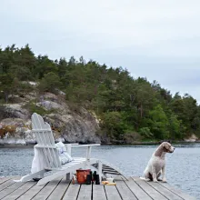 Det perfekta sommarhänget