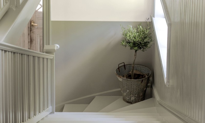 En gråmålad trappa med ett olivträd på ett av trappstegen